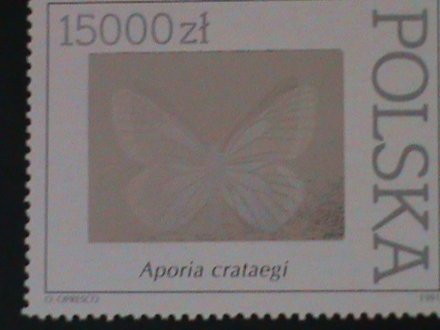 POLAND-1991-SC#3056  LOVELY BEAUTIFUL BUTTERFLY-HOLOGRAM STAMP, MNH-VF RARE