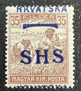 Hungary (A9) #117 MHOG - Overprint HRVATSKA SHS c1916-1922