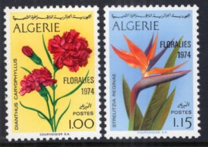 Algeria 518-519 Flowers MNH VF