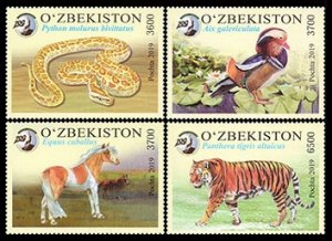 2019    Uzbekistan     1350-53    Tashkent Zoo