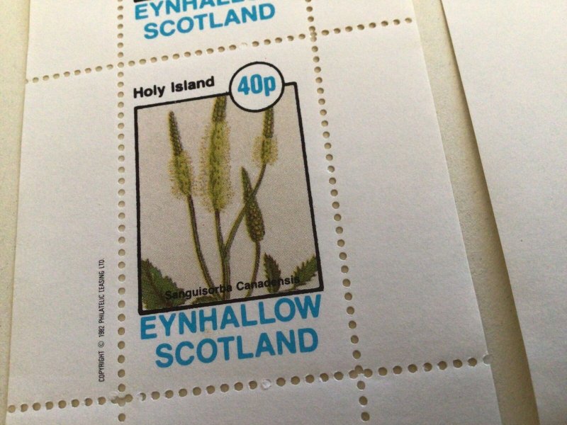 Holy Island Scotland Flowers mint never hinged stamps sheets Ref R49095