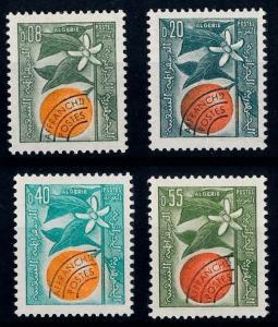 [66547] Algeria 1963 Flora Orange Tree Flower Blossom   MNH