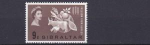 GIBRALTAR   1963  9D FREEDOM FROM HUNGER  MNH