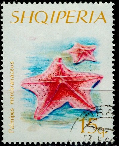 Albania 1966 Sc. # 934; O/Used CTO Single Stamp