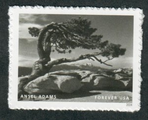 5854k Ansel Adams MNH single
