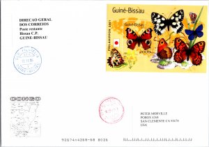 Guinea Bissau, Butterflies