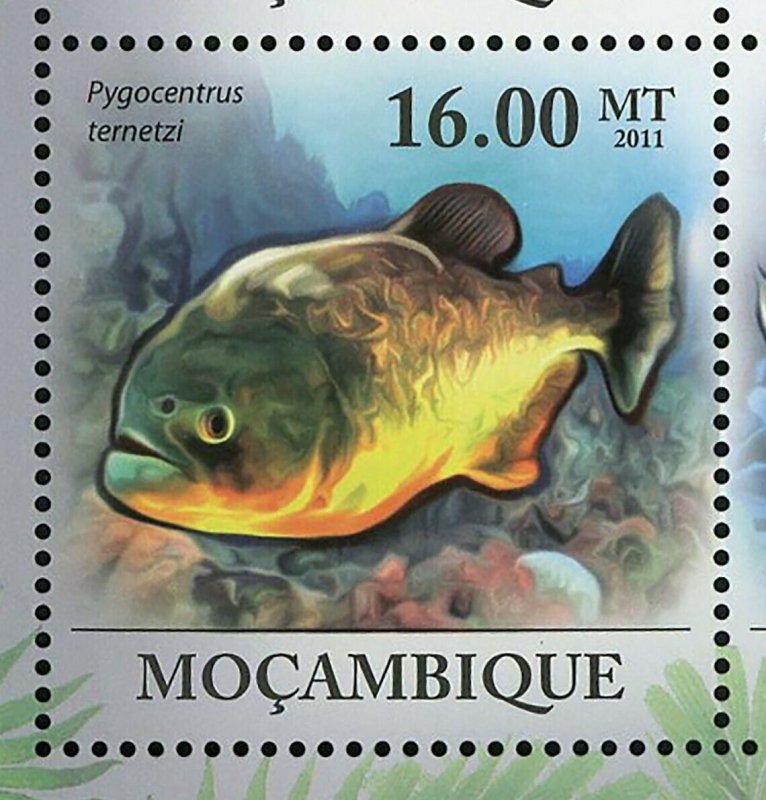 Piranhas Stamp Fish Pygocentrus Nattereri Serrasalmus Manueli S/S MNH #4287-4292