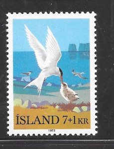 Iceland #B23 MNH Single