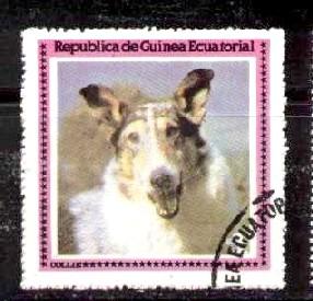 Dog, Collie, Guinea Ecuatorial stamp used