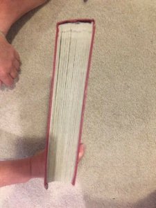 Red Lighthouse Stock Book 64 (32x2) 9-row White Pages Used  See description