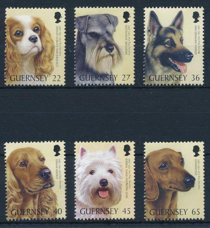 [29468] Guernsey 2001 Animals 100 Year Dog Club MNH