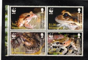 Montserrat Sc 1159a-d MNH Block of 4 issue of 2006 - Frogs -HJ06