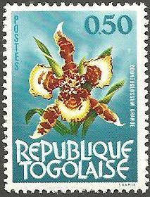 Togo 461 MLH Orchid (GI0131)