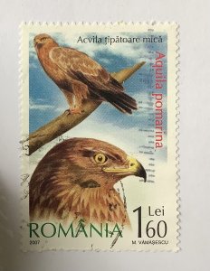 Romania 2007 Scott  4937 used - 1.60 l, birds of prey, Aquila pomarina