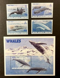 British Antarctic Territory: 1996, Whales, MNH set + M/Sheet