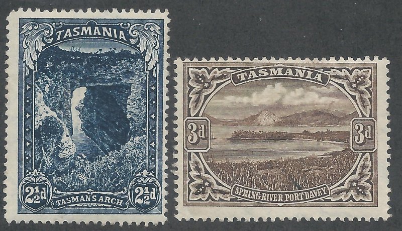 TASMANIA 1899 PICTORIAL 21/2D AND 3D WMK MULTI TAS