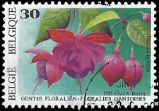 BELGIUM   #1575 USED (1)