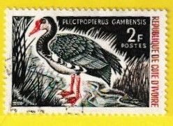 IVORY COAST SCOTT#232 1966 SPUR-WINGED GOOSE - USED