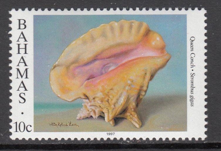 Bahamas 850b Seashell MNH VF