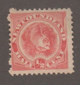 Newfoundland - Canada Scott #56 Stamp - Mint Single