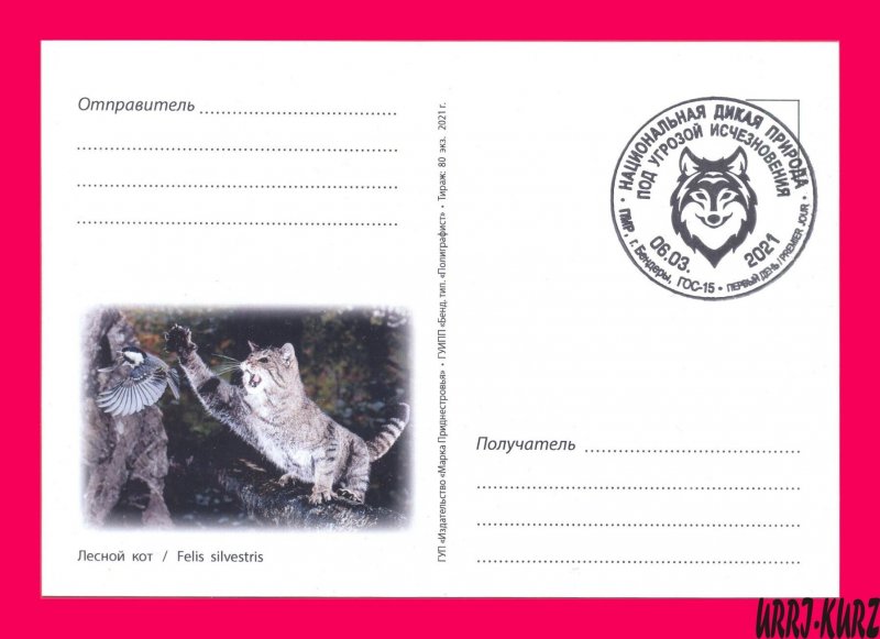 TRANSNISTRIA 2021 Nature Fauna Animals Mammals Wild Forest Cat MaxiCard Card