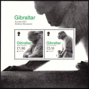 GIBRALTAR 2021 EUROPA CEPT WILD ANIMALS BARBARY MACAQUES ANIMAUX SAUVAGE