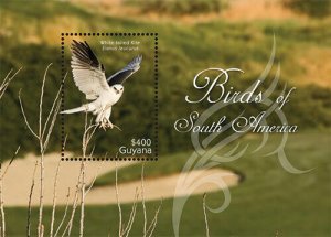Guyana - 2012 - Birds Of South America  - Souvenir Sheet - MNH