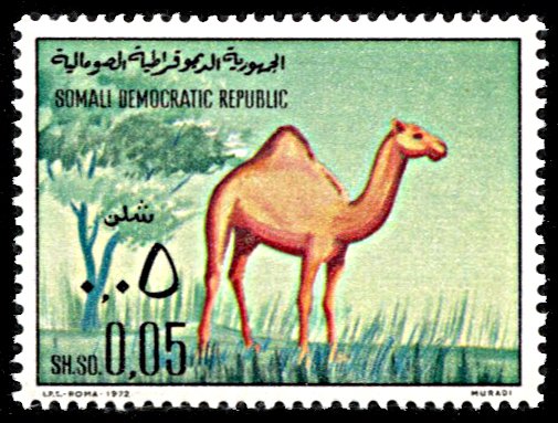 Somalia 388, MNH, Camel