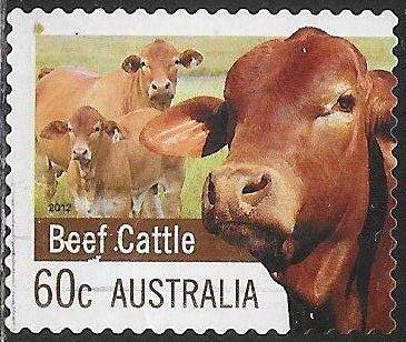 Australia 3720 Used - Farm Products - Beef Cattle
