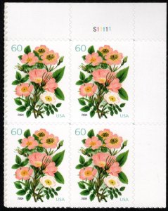US #3837 PLATE BLOCK, 60c Roses, VF mint never hinged, high value plate, Nice!