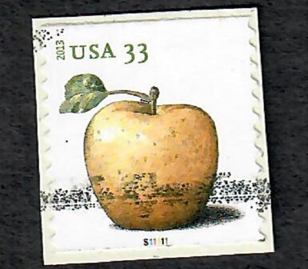 US #4733 Golden Delicious Apple Used PNC Single Plate #S11111