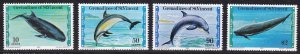 Grenadines of St Vincent, Fauna, Animals, Dolphins MNH / 1980