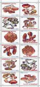 Somaliland 1999 Fungi perf sheetlet of 12 values containi...