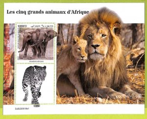 B0209 - DJIBOUTI - MISPERF ERROR Stamp Sheet - 2022 - Animals of Africa-