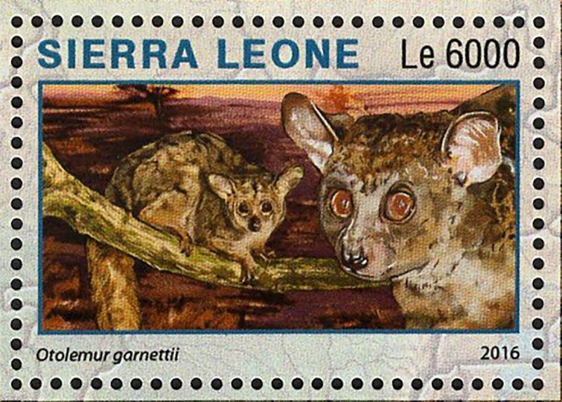 Park Ruaha Stamp Tanzania Lepus Capensis S/S MNH #7274-7277