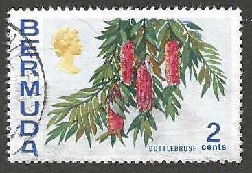 Bermuda 256 Used