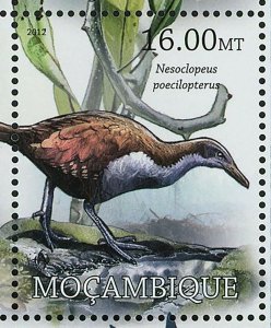 Birds Stamp Quiscalus Palustris Gallirallus Wakensis S/S MNH #5718-5725