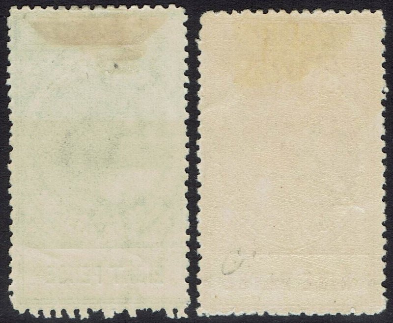 SOUTH AUSTRALIA 1906 QV 8D AND 9D WMK CROWN/A