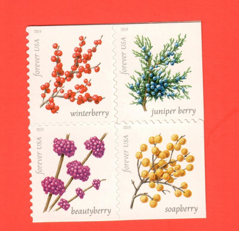 5415-18 Winter Berries BLOCK MNH 2019