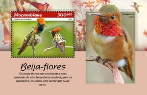 Mozambique - 2019 Hummingbirds - Stamp Souvenir Sheet - MOZ190110b