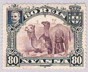 Nyassa 34 Used Camels 1901 (BP36923)