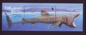 Guernsey Sc 874 2005 Basking Shark stamp sheet mint NH