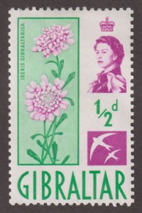 Gibraltar 147 Candy Tuft 1960