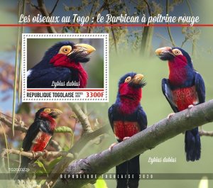 TOGO - 2020 - Birds of Togo, Bearded Barbet - Perf Souv Sheet- Mint Never Hinged