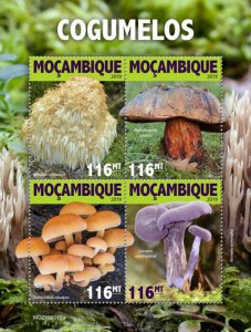 Mozambique 2019 MNH Mushrooms Stamps Laccaria Flammulina Fungi Nature 4v M/S