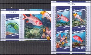 Sierra Leone 2018 Marine Life Fishes III sheet + S/S MNH