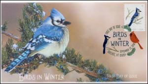 18-258, 2018, Birds in Winter, DCP Postmark, Blue Jay, FDC