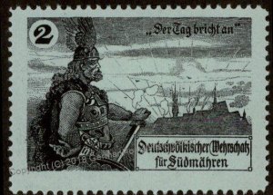 Austria Germany WWI-era South Moravia Patrotic Donation Stamp 93755