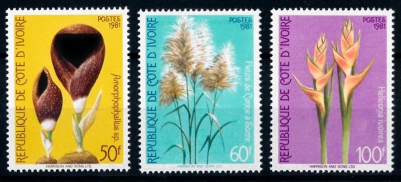 [67016] Ivory Coast 1981 Flora Flowers Blumen Blossom Bluten  MNH