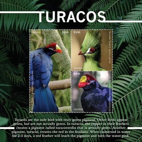 Gambia 2020 - Turacos Bird - Sheet of 3 Stamps - Scott #3882 - MNH